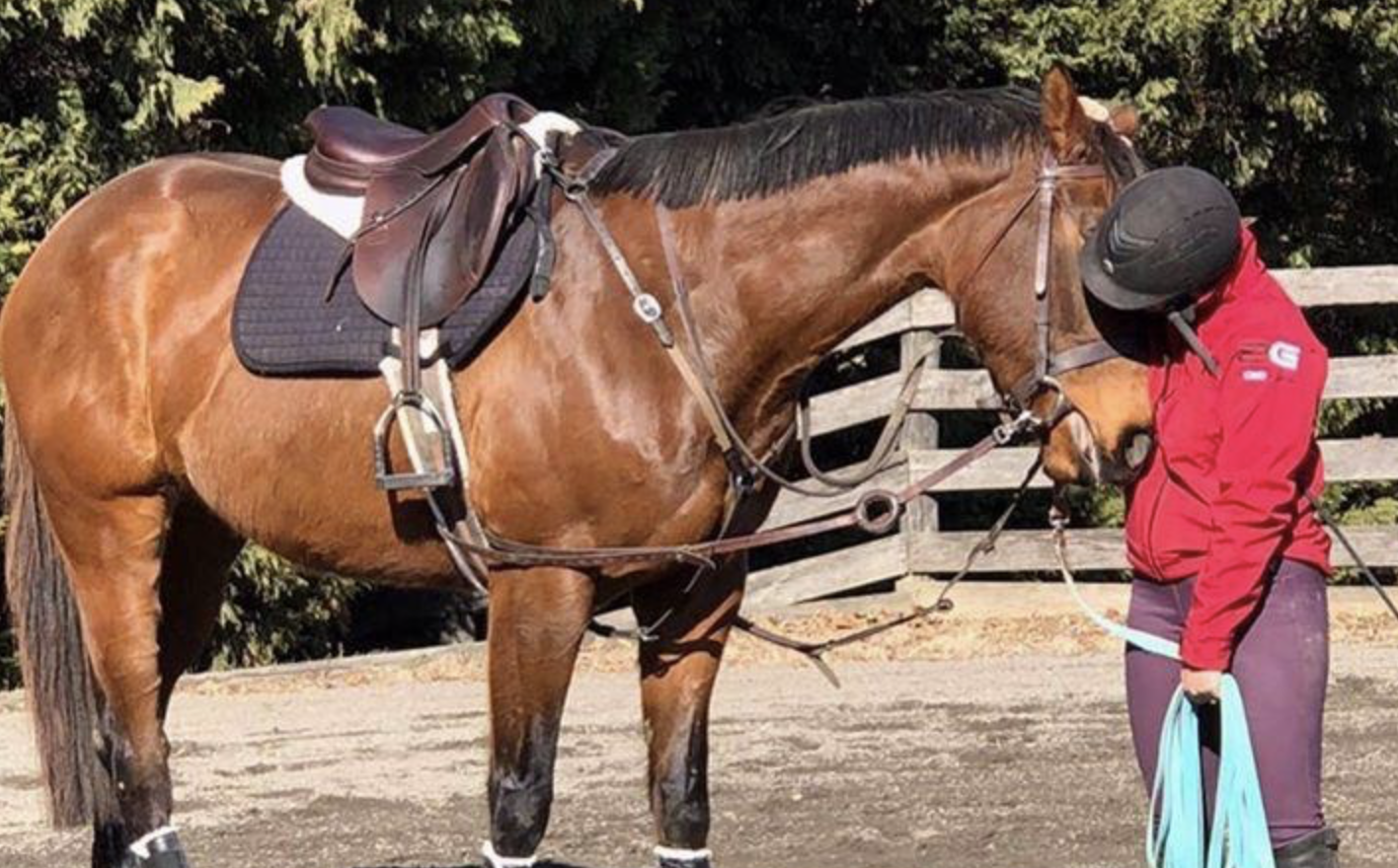 So You Want to Get an OTTB, Part III: Creating a Lasting Relationship
